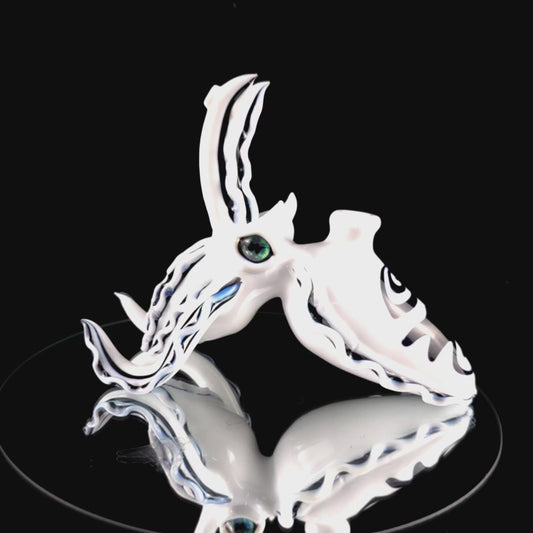 Lotus white cuddlefish