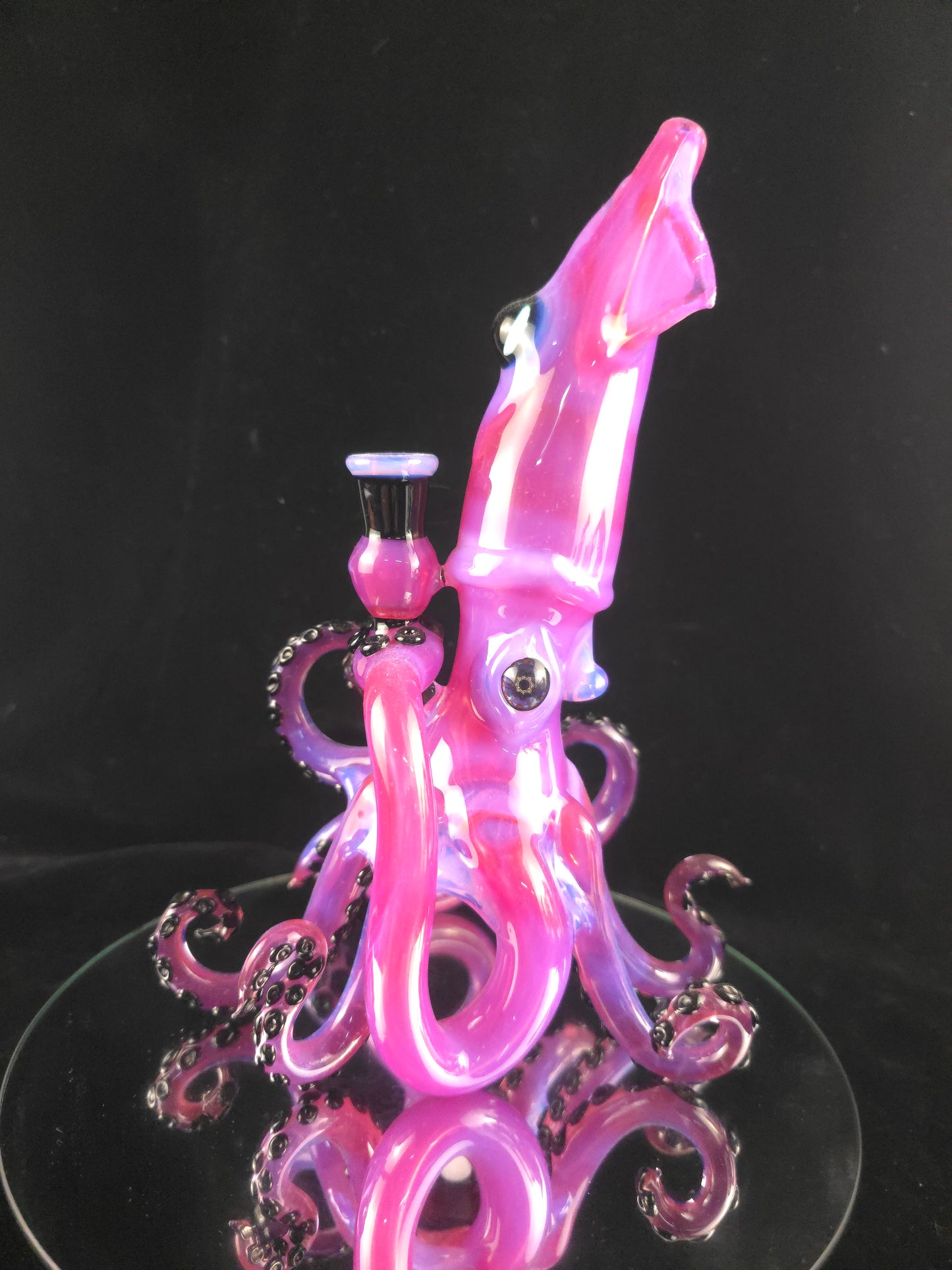 Double layered squid