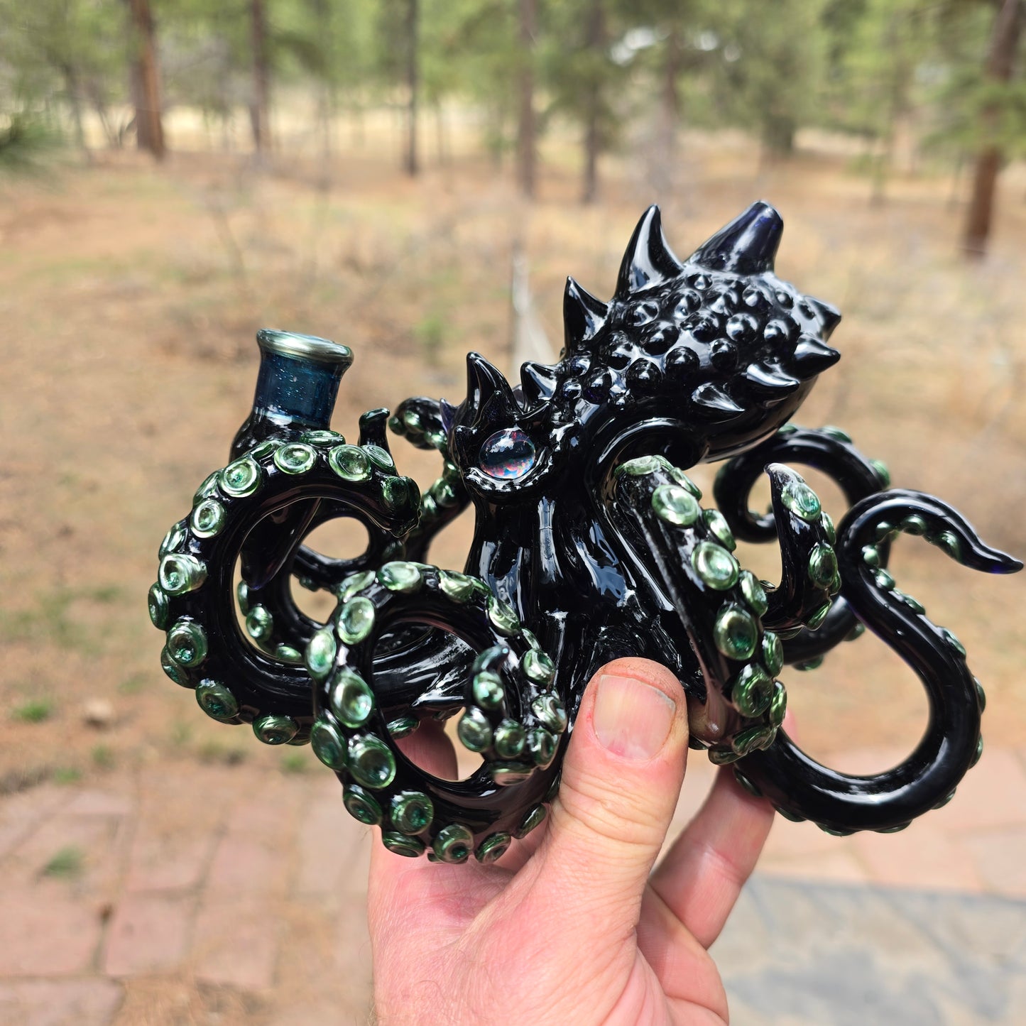 Opal eyed black octopus