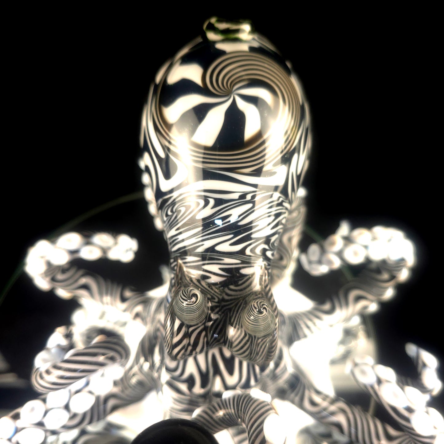 XL black and white patterned octopus