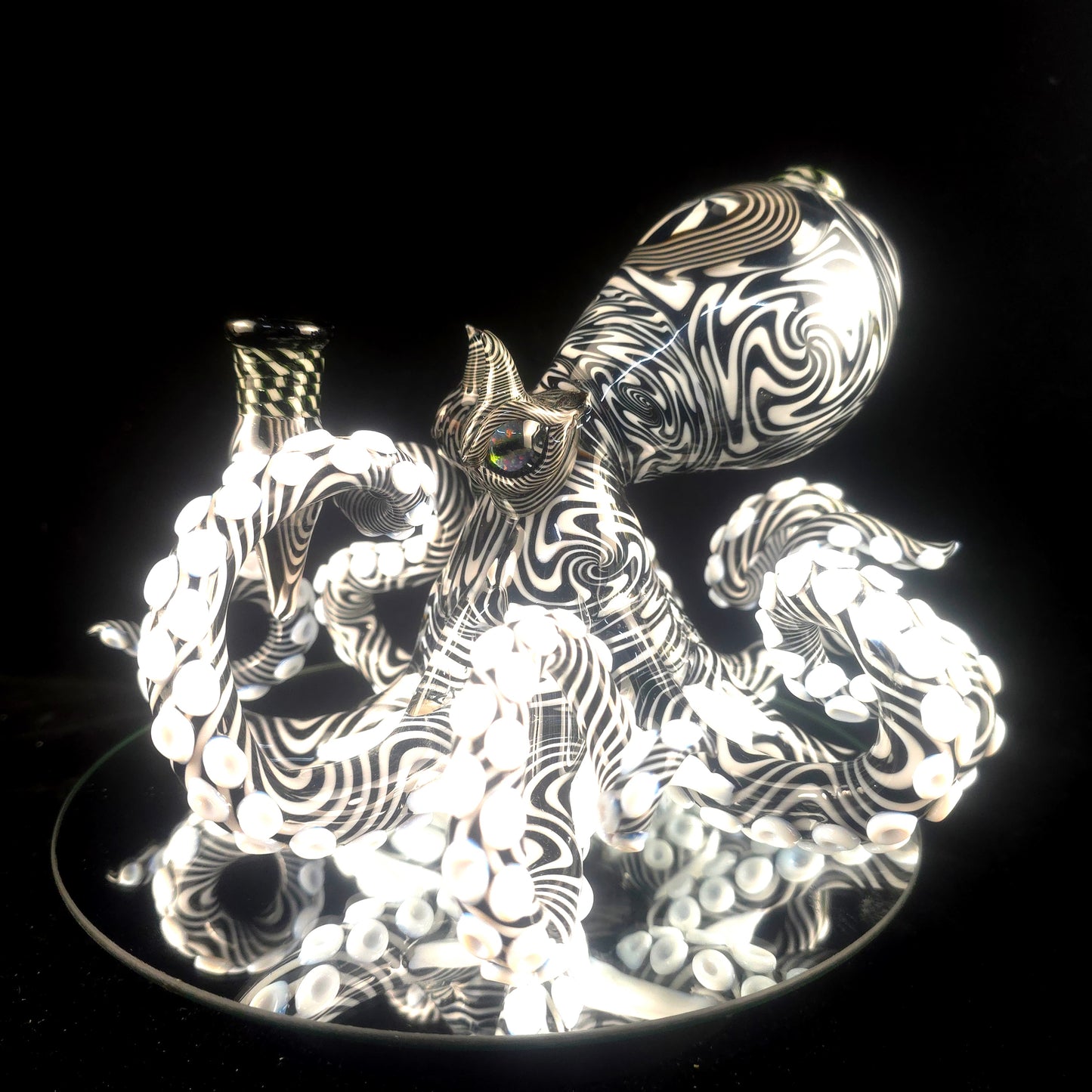XL black and white patterned octopus