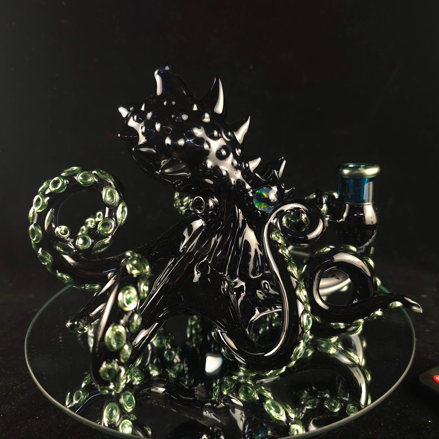 Opal eyed black octopus