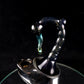 Scorpion tail dry top